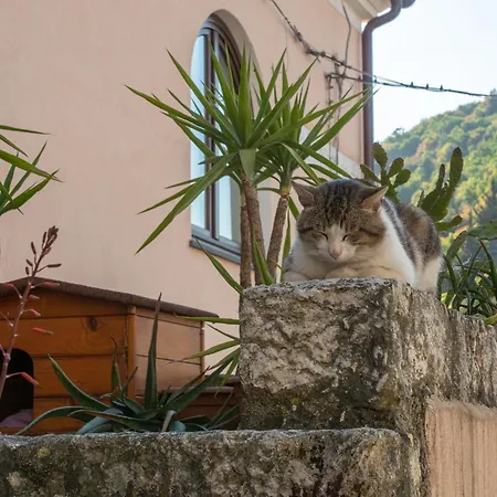 Da Nonna Pasqualina Bed and breakfast